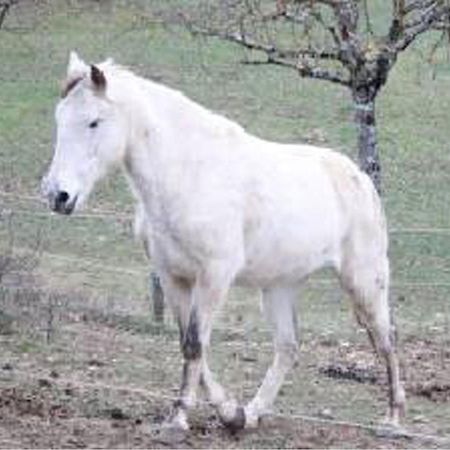 Gite De Fontepaisse Saint-Jean-en-Royans Zewnętrze zdjęcie